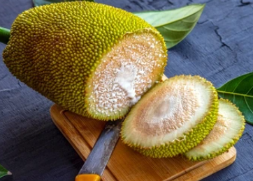 Raw Jackfruit (500 g)