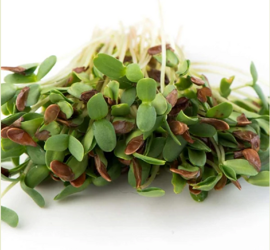 Agase - Flax (1 bunch)