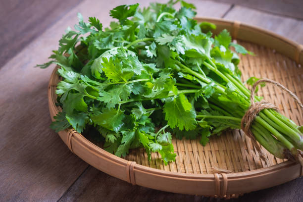 Coriander Leaves (100 g)