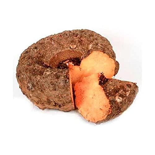 Yam Root - Elephant Foot Yam - Suvarna Gedde (500 g)
