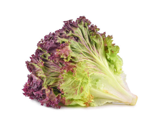 Lettuce - Red (1 bunch)