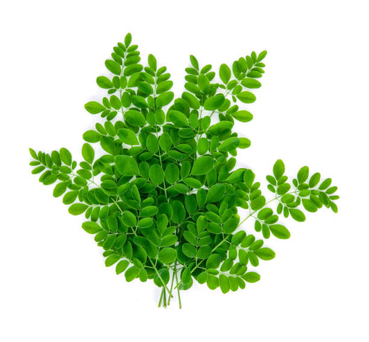 Moringa Leaves (200 g)