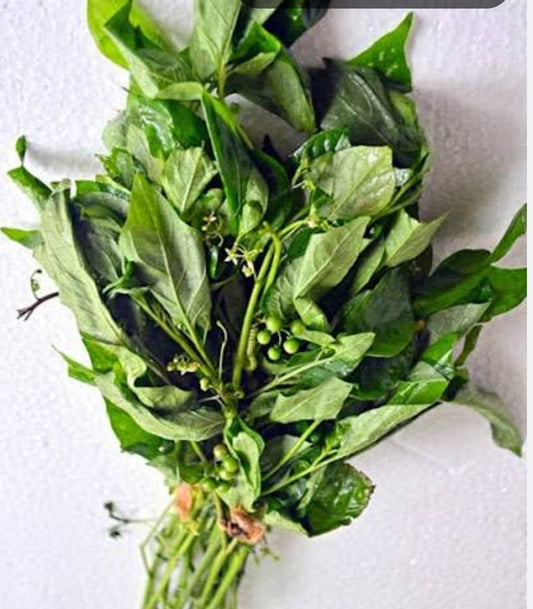 Kashi soppu (1 bunch)