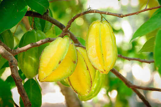 Star Fruit (500 g)