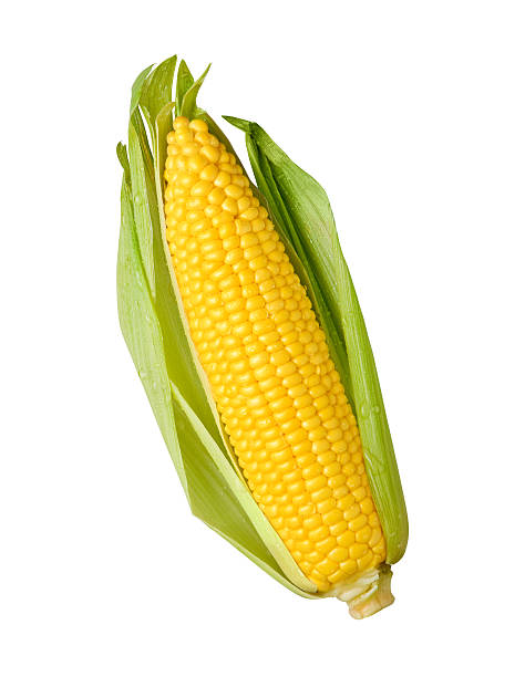 Sweet Corn (1 piece)